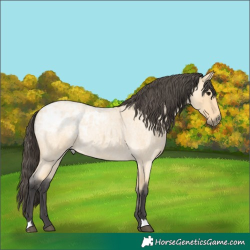 Horse Color:Buckskin Ice Roan 