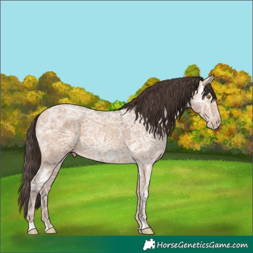 Horse Color:Amber Champagne Ice