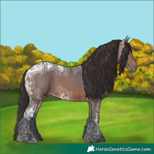 Horse Color:Brown Ice 