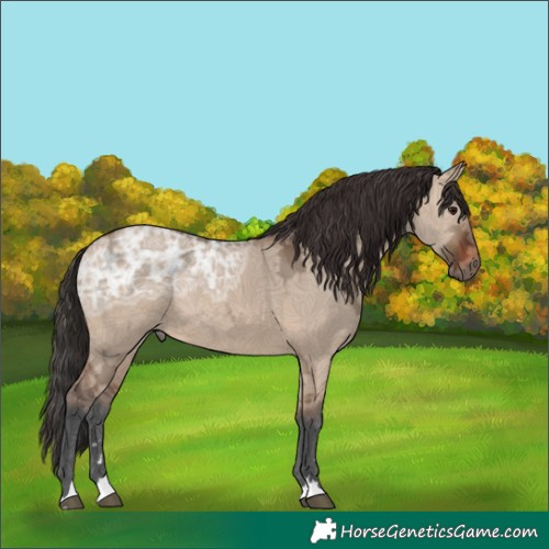 Horse Color:Brown Ice Dun Rabicano 