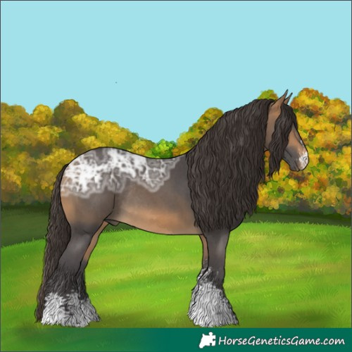 Horse Color:Buckskin Ice Sabino Rabicano