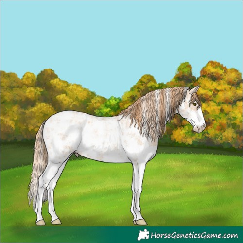 Horse Color:Gold Champagne Ice Sabino