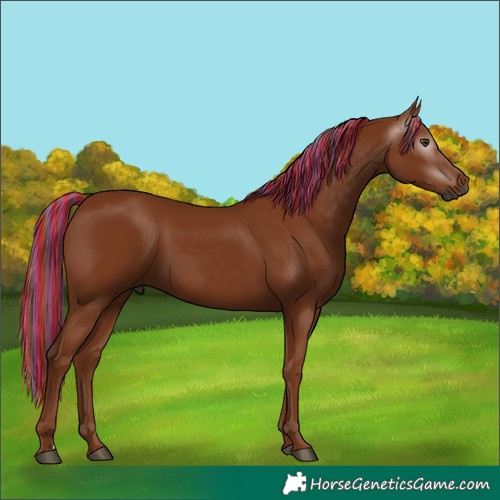 Horse Color:Gray Painted Chestnut 