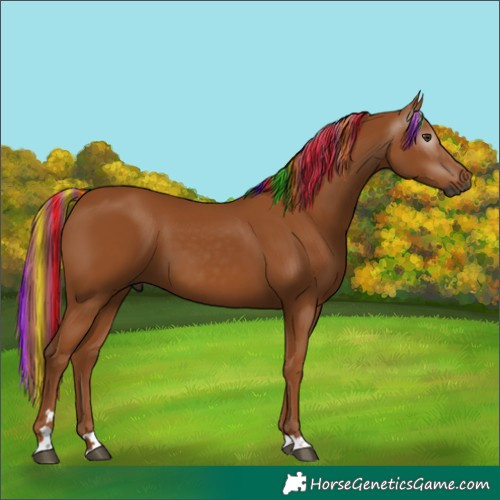 Horse Color:Gray Painted Chestnut