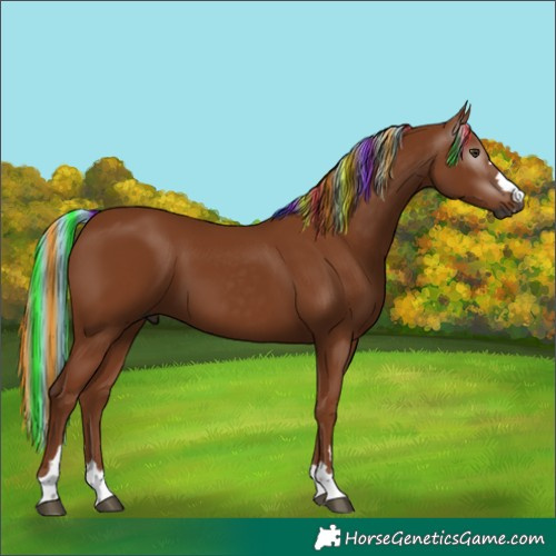 Horse Color:Gray Painted Chestnut 