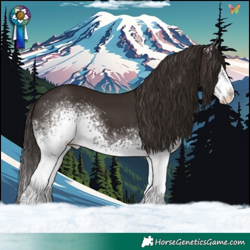 Horse Color:White Spotted Liver Chestnut Tobiano 