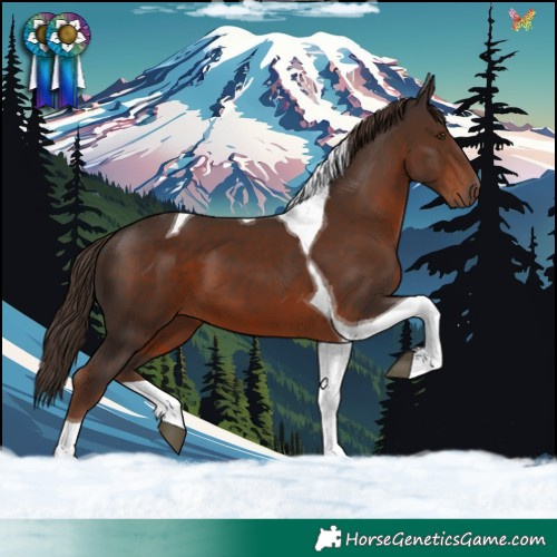 Horse Color:Liver Chestnut Tobiano 