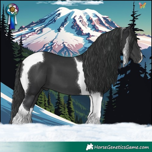Horse Color:Black Tobiano