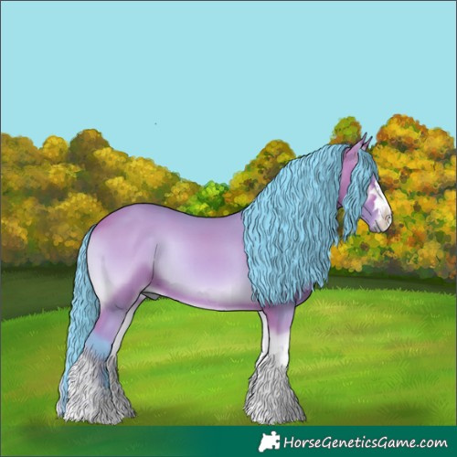 Horse Color:Watercolor Bay Onyx