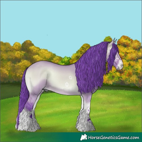 Horse Color:Watercolor Bay Onyx