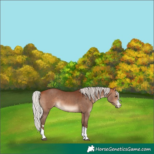 Horse Color:Silver Bay