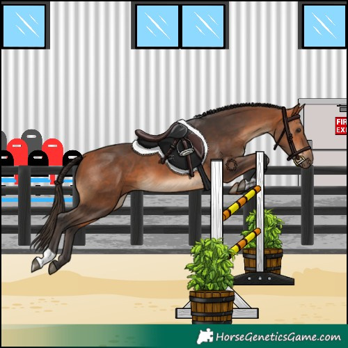 Horse Color:Bay  and Bay 