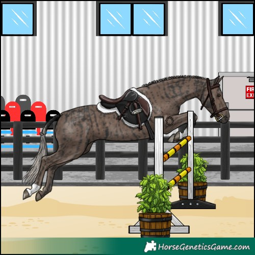 Horse Color:Black  and Silver Black 
