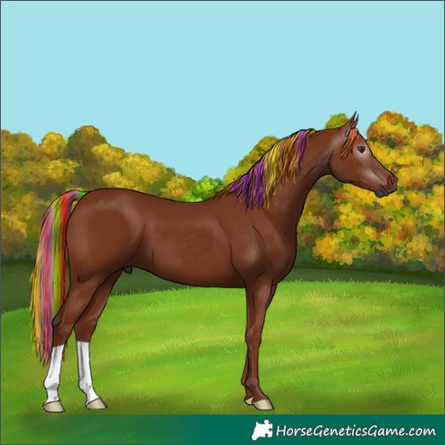 Horse Color:Gray Painted Chestnut