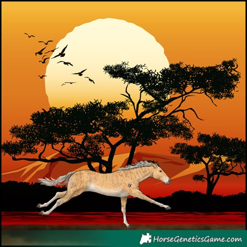 Horse Color:Palomino and Palomino