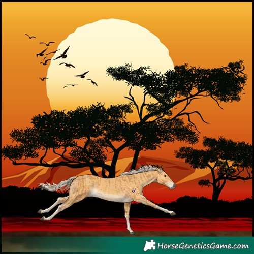 Horse Color:Palomino and Palomino