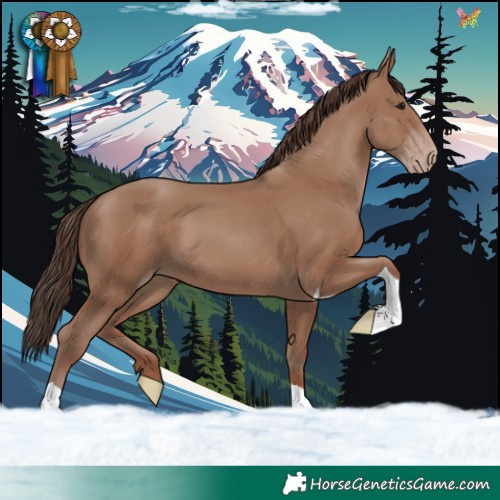 Horse Color:Classic Champagne Tobiano
