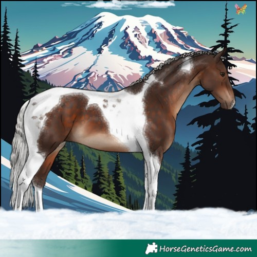 Horse Color:Silver Brown Tobiano
