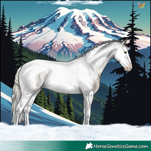 Horse Color:Silver Buckskin Sabino Splash Tobiano 