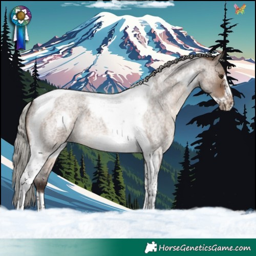 Horse Color:Silver Brown Roan Dun Tobiano Frame