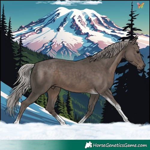 Horse Color:Silver Black Tobiano