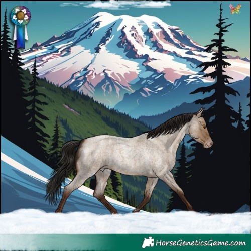 Horse Color:Gray Classic Champagne Roan Dun Appaloosa 