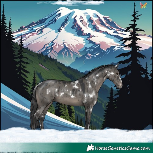 Horse Color:White Spotted Grullo Appaloosa Brindle