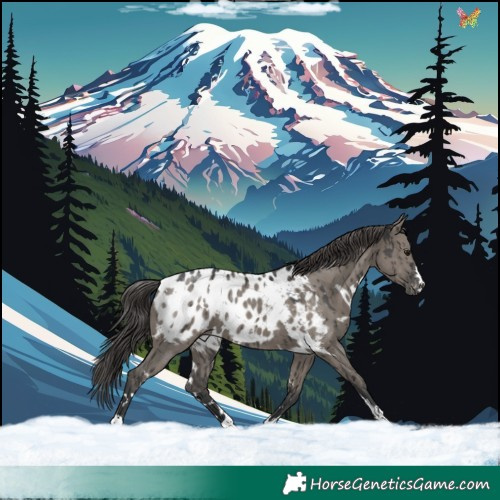 Horse Color:White Spotted Grullo Appaloosa Brindle 