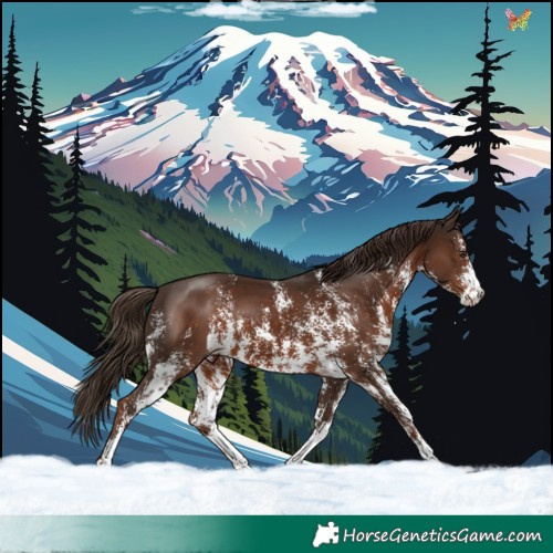 Horse Color:Liver Chestnut Sabino