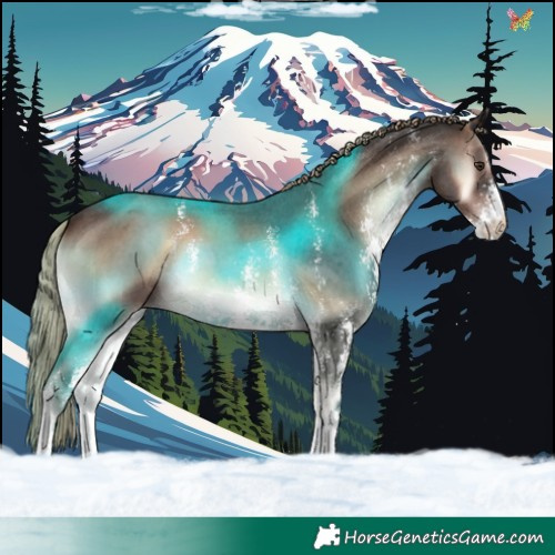 Horse Color:Liver Red Onyx Sabino