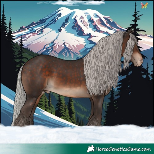 Horse Color:Silver Brown Appaloosa Rabicano