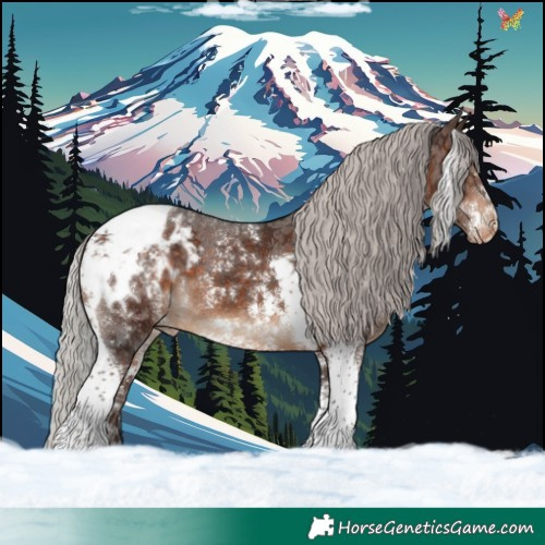 Horse Color:Silver Brown Sabino Tobiano Appaloosa