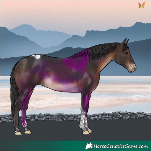 Horse Color:Brown Sabino Tobiano Varnish 