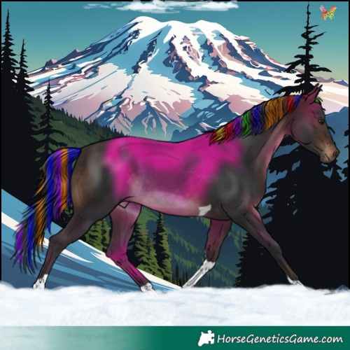 Horse Color:Painted Brown Tobiano