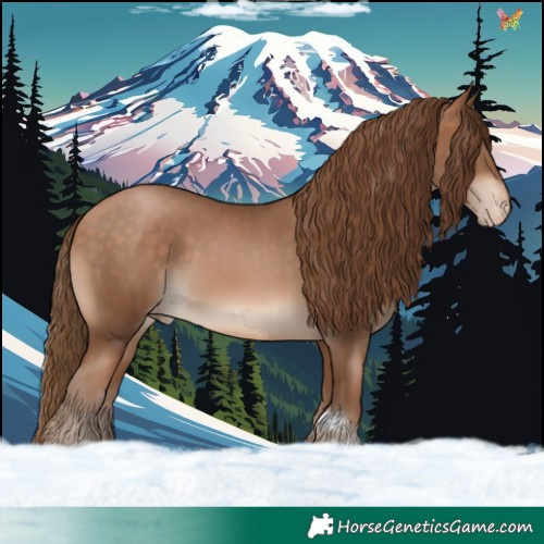 Horse Color:Brown Pearl Appaloosa