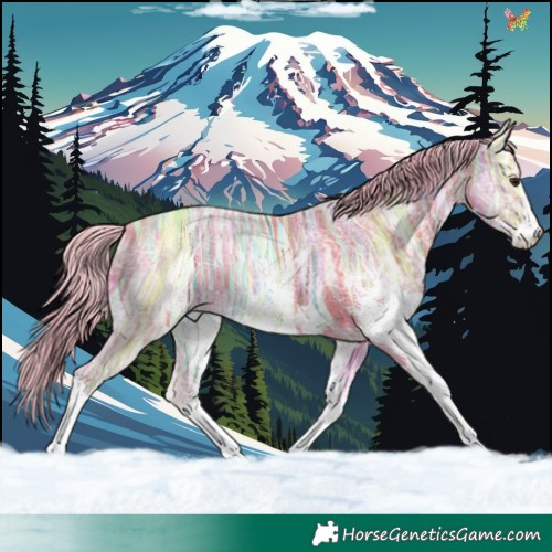 Horse Color:Watercolor Plaid  White Spotted Silver Brown Ice Dun 
