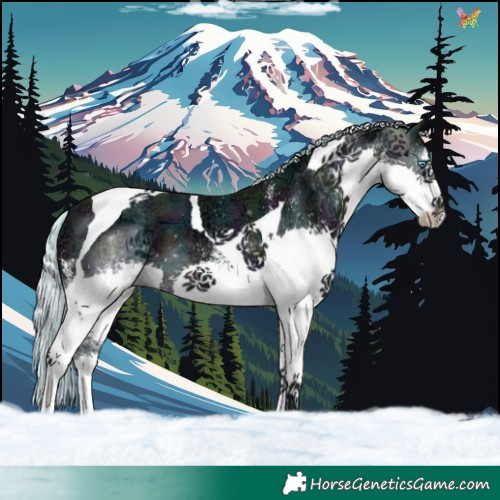 Horse Color:Watercolor Plaid White Spotted Midnight Silver Brown Ice Splash Tobiano