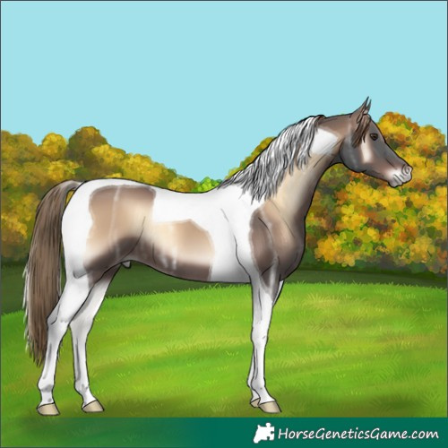 Horse Color:Liver Red Onyx Ice Tobiano 