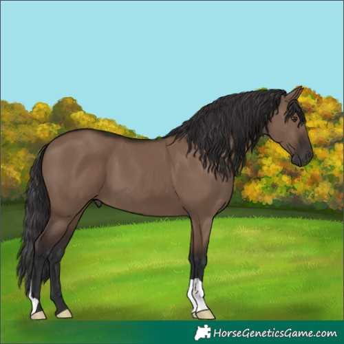 Horse Color:Liver Red Dun 