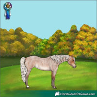 Horse Color:Silver Bay Roan