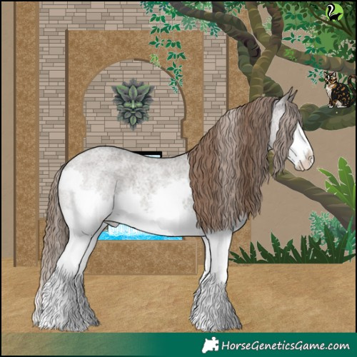 Horse Color:Grullo Roan Splash Appaloosa 