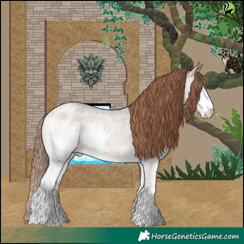Horse Color:Bay Roan Dun Splash Appaloosa 