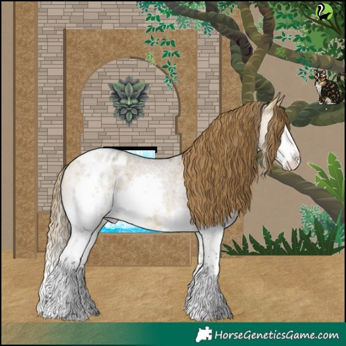 Horse Color:Buckskin Roan Dun Sabino Splash Appaloosa 