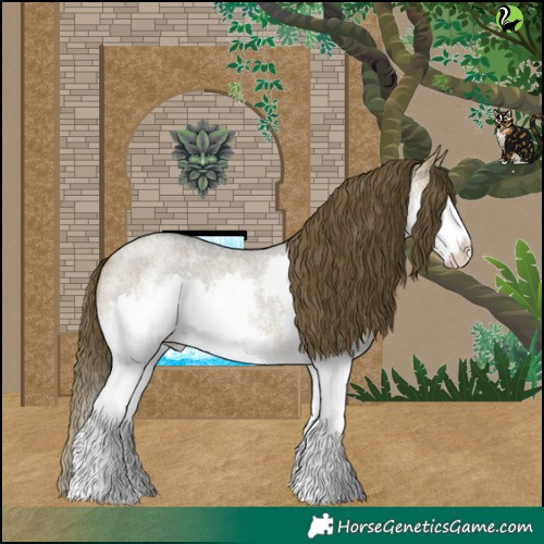 Horse Color:Buckskin Roan Dun Sabino Splash Varnish
