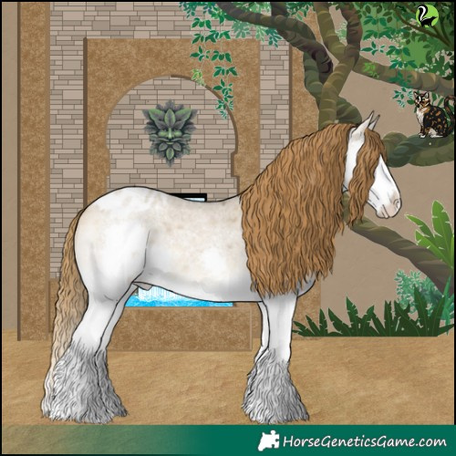 Horse Color:Buckskin Roan Dun Splash Appaloosa 