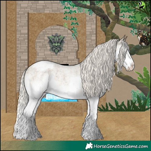 Horse Color:Silver Smoky Grullo Roan Sabino Splash Appaloosa 