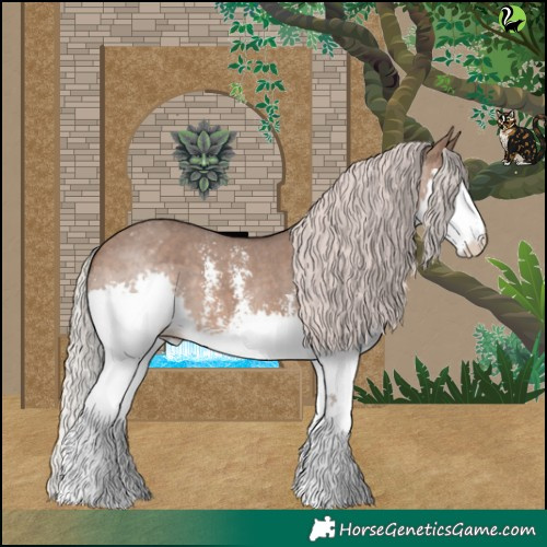 Horse Color:Silver Brown Dun Sabino Splash Appaloosa