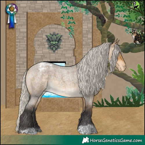 Horse Color:Silver Buckskin Roan Dun Appaloosa