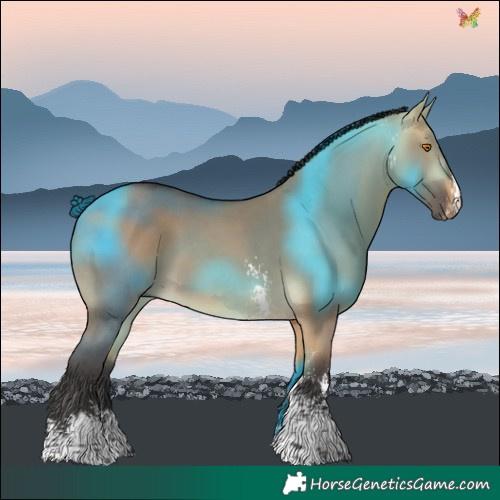Horse Color:Buckskin Dun Sabino 