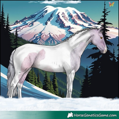 Horse Color:Watercolor Brown Roan Dun Tobiano